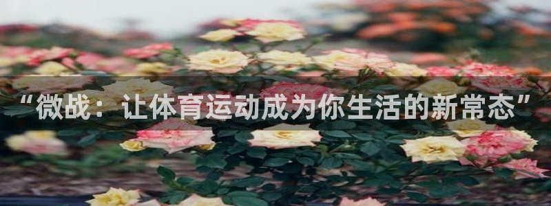 857体育直播免费观看：“微战：让体育运动成为你生活的新常态”