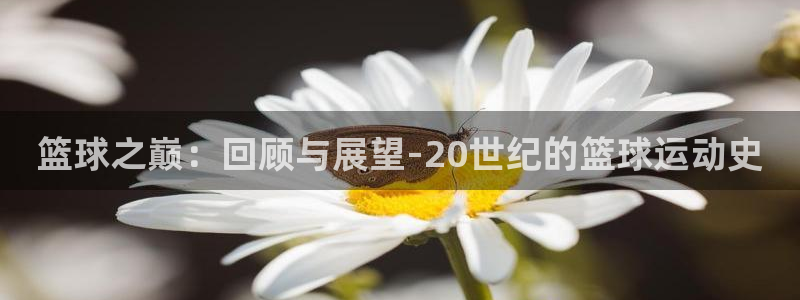 免费857直播体育nba：篮球之巅：回顾与展望-20世纪的篮球运动史