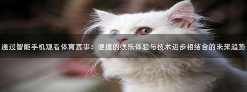 857体育直播平台：通过智能手机观看体育赛事：便捷的娱乐体验与技术进步相结合的未来趋势