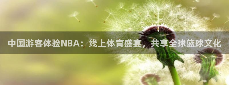 857zb1体育赛事直播：中国游客体验NBA：线上体育盛宴，共享全球篮球文化