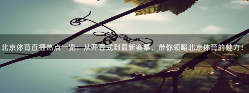 857直播免费体育直播：北京体育直播热点一览：从开幕式到最新赛事，带你领略北京体育的魅力！