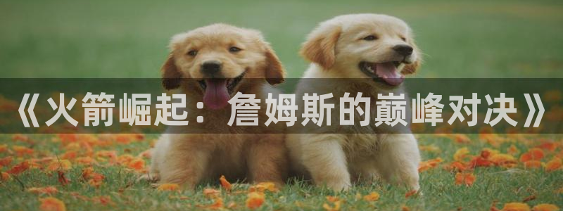857免费直播nba：《火箭崛起：詹姆斯的巅峰对决》