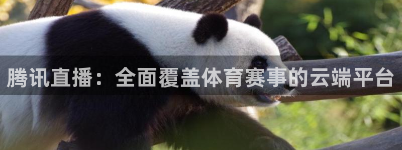 足球直播857直播间：腾讯直播：全面覆盖体育赛事的云端平台
